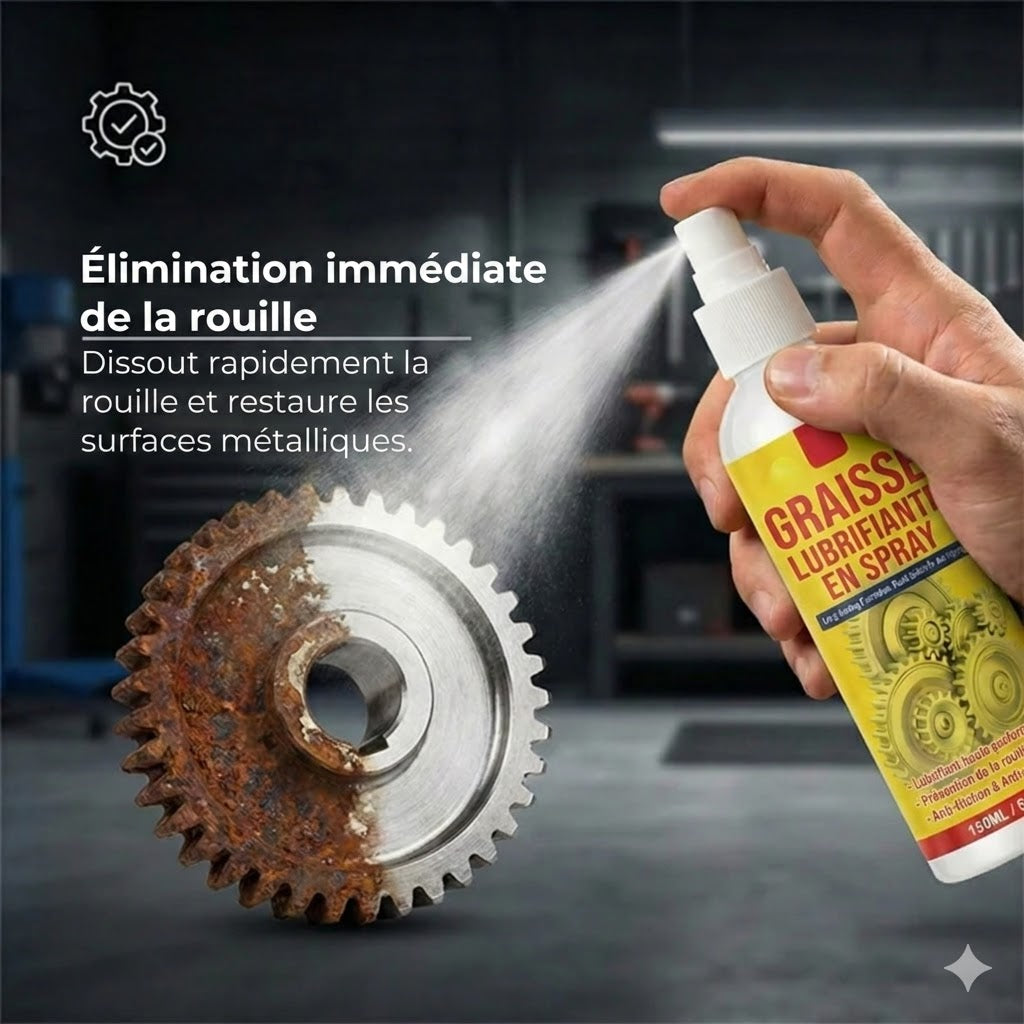 Multi-Spray Multifonction - Dégrippant et Lubrifiant