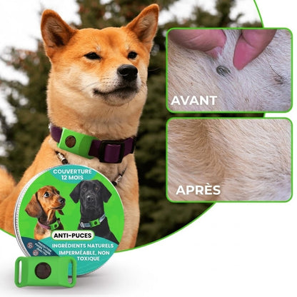 Collier anti-puces et tiques FurLife™