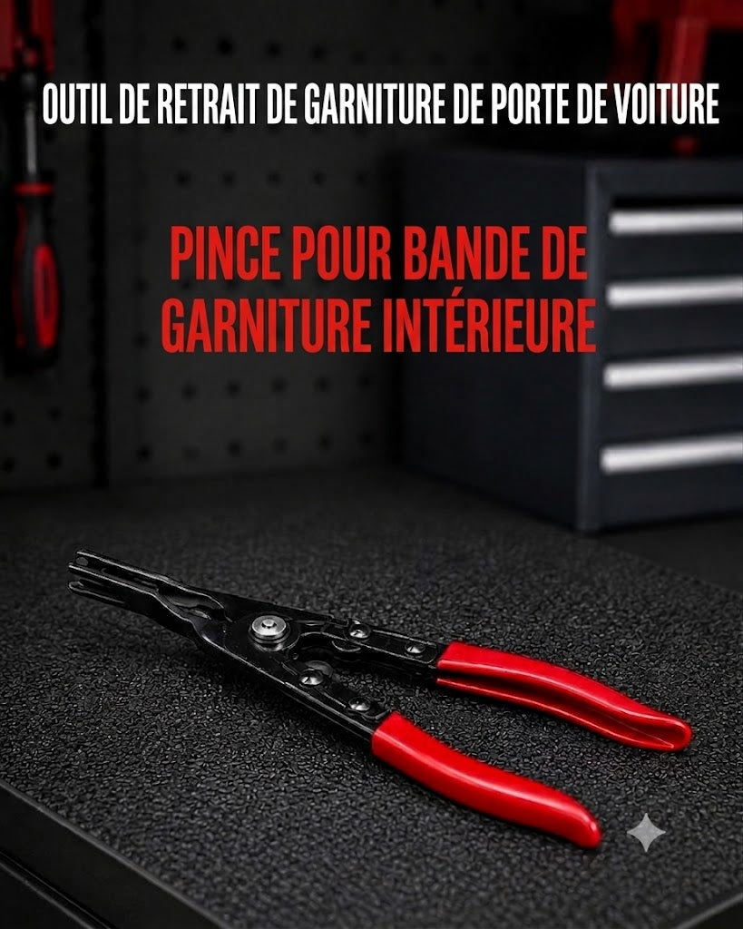 Coffret de 5 pinces pour déconnexion connecteurs électriques ProReach – Outil spécialisé pour l'automobile et l'électricité
