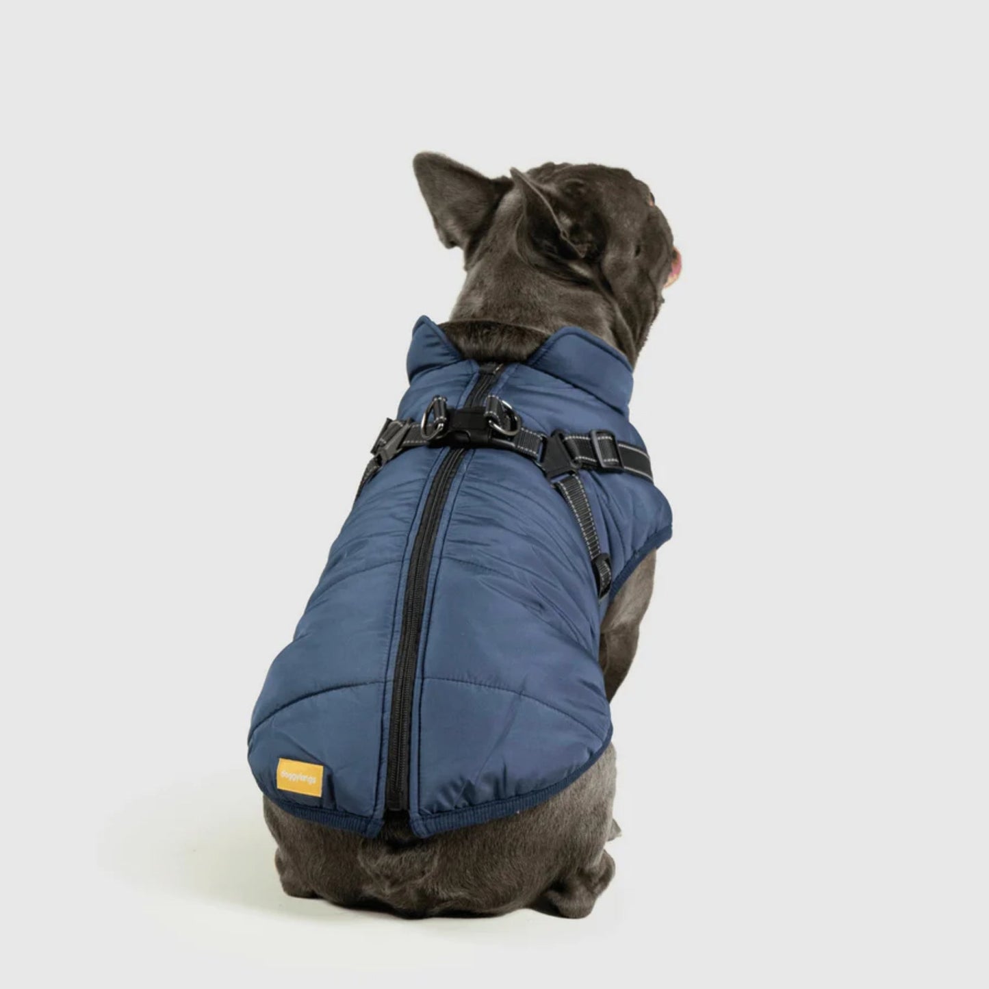 DoggyKings™ Manteau pour Chien avec Harnais Intégré - Imperméable et Chaud (Design 3-en-1)