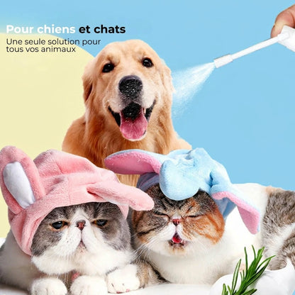 Spray de soin dentaire pour animaux