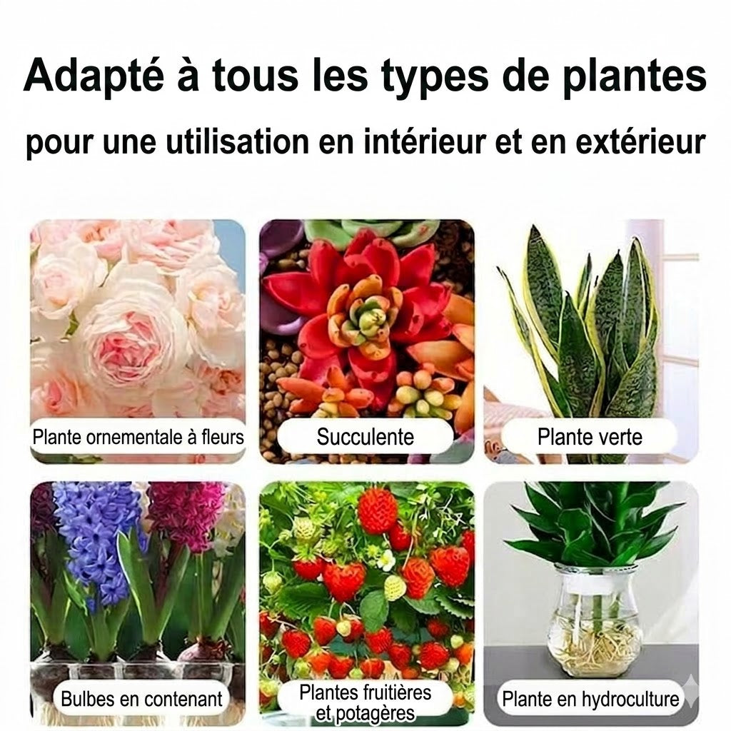 Solution nutritive pour plantes
