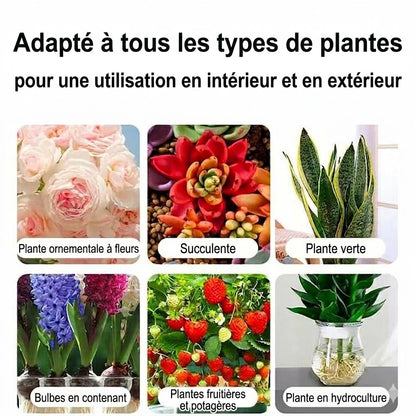 Solution nutritive pour plantes