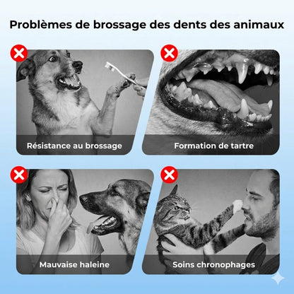 Spray de soin dentaire pour animaux