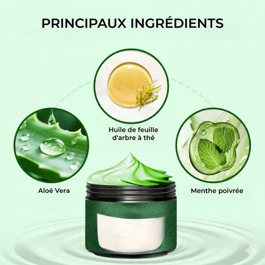 Crème hydratante pour les pieds à l'huile d'arbre à thé et à l'aloe vera - Pour pieds secs