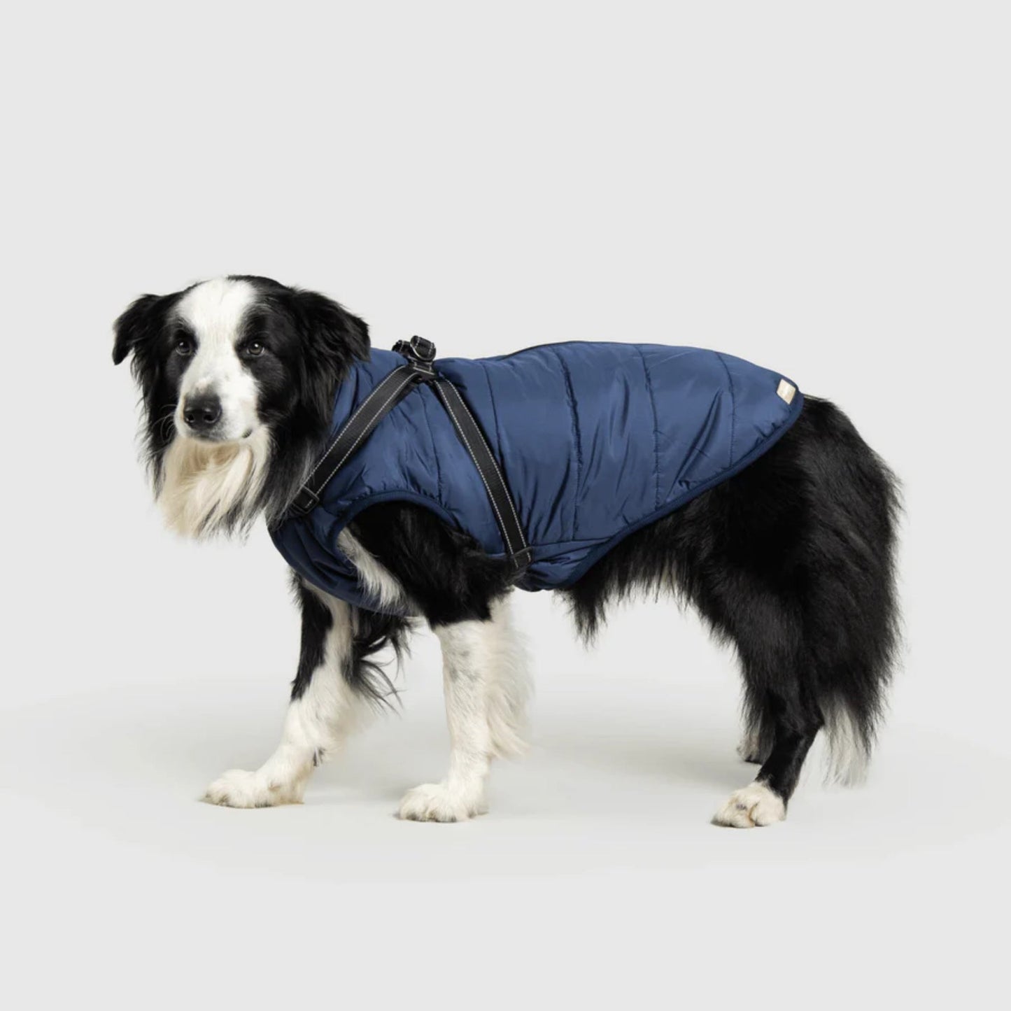 DoggyKings™ Manteau pour Chien avec Harnais Intégré - Imperméable et Chaud (Design 3-en-1)