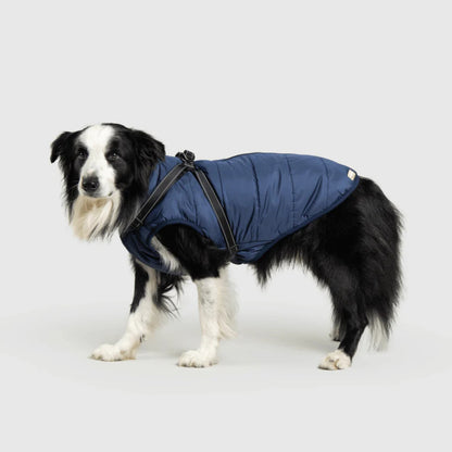DoggyKings™ Manteau pour Chien avec Harnais Intégré - Imperméable et Chaud (Design 3-en-1)