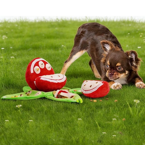Jeu de fouille interactif pour chien - Peluche puzzle fruit avec cachettes