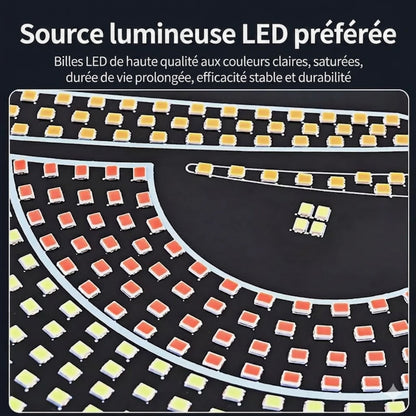 Yeux de Démon LED pour Pare-brise de Voiture