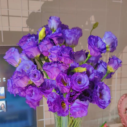 Graines d'Eustoma Roses sans épines (100 pièces) 💐Graines de Lisianthus