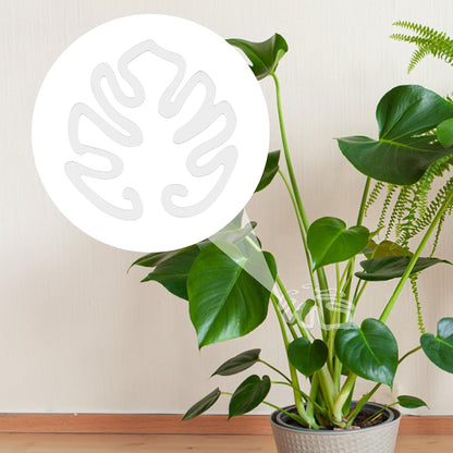 Tuteur pour plantes transparent en acrylique, forme feuille de monstera | Support invisible pour plantes d'intérieur (Lot de 5 pièces)