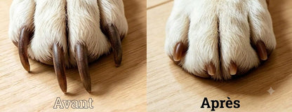 Lime à ongles électrique pour animaux avec indicateur de batterie LED