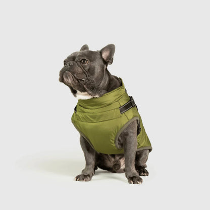 DoggyKings™ Manteau pour Chien avec Harnais Intégré - Imperméable et Chaud (Design 3-en-1)