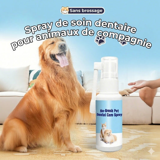 Spray de soin dentaire pour animaux