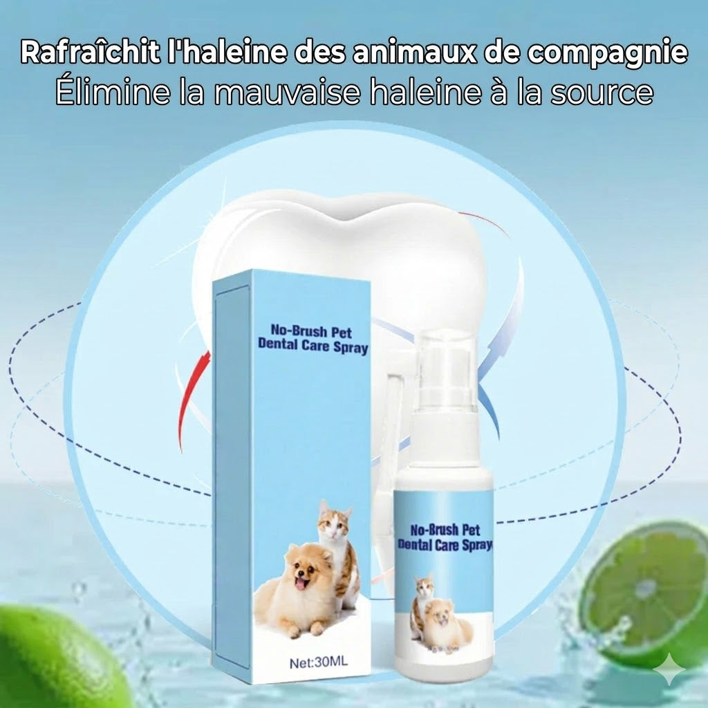Spray de soin dentaire pour animaux
