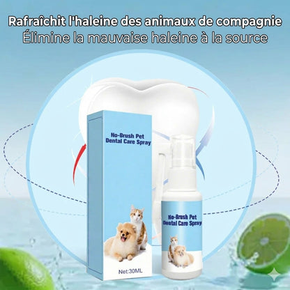 Spray de soin dentaire pour animaux