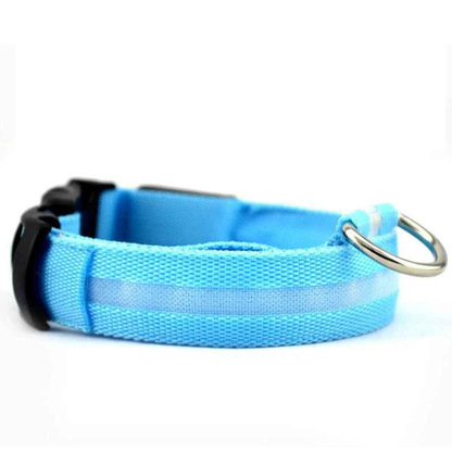 Collier pour chien LED rechargeable (via USB)