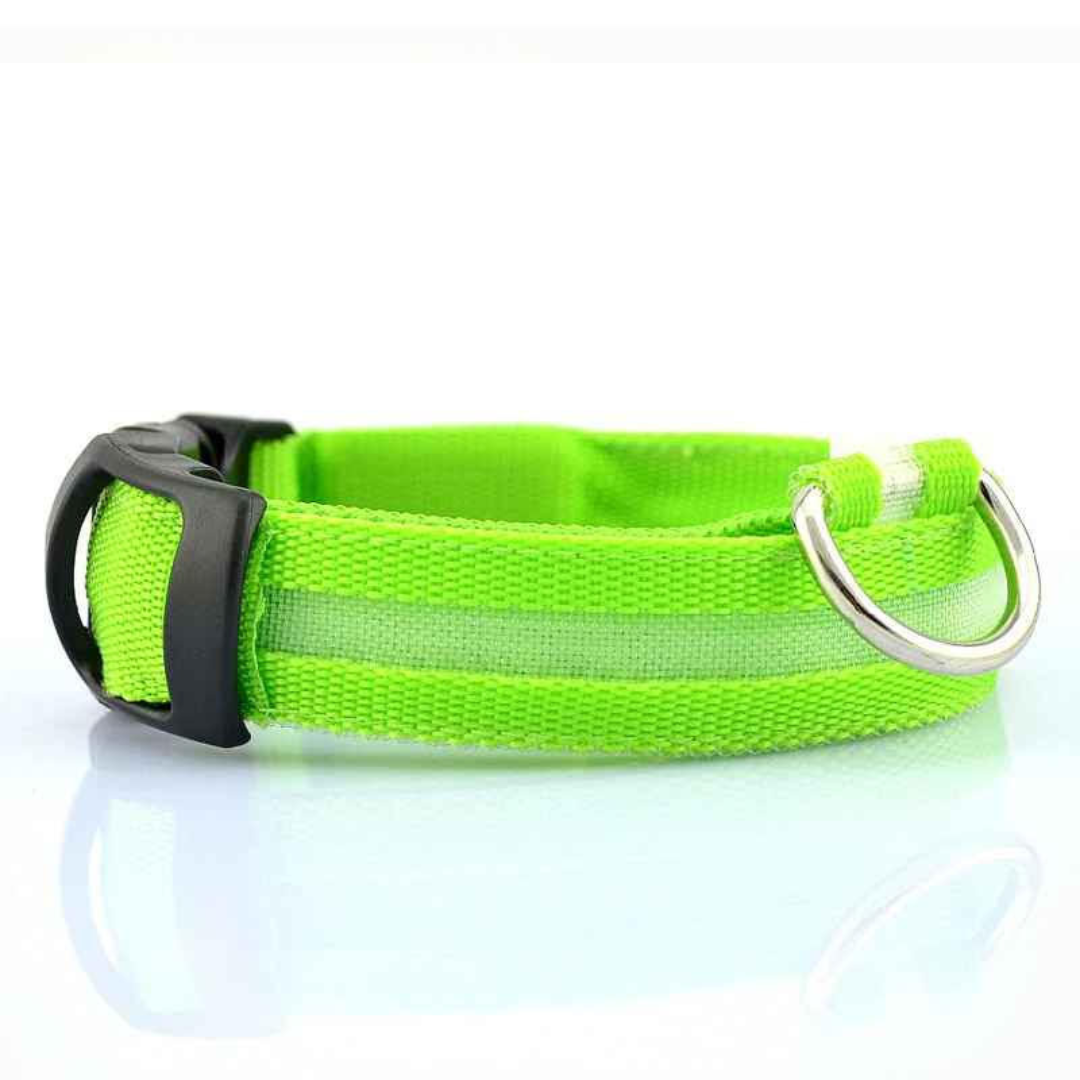Collier pour chien LED rechargeable (via USB)