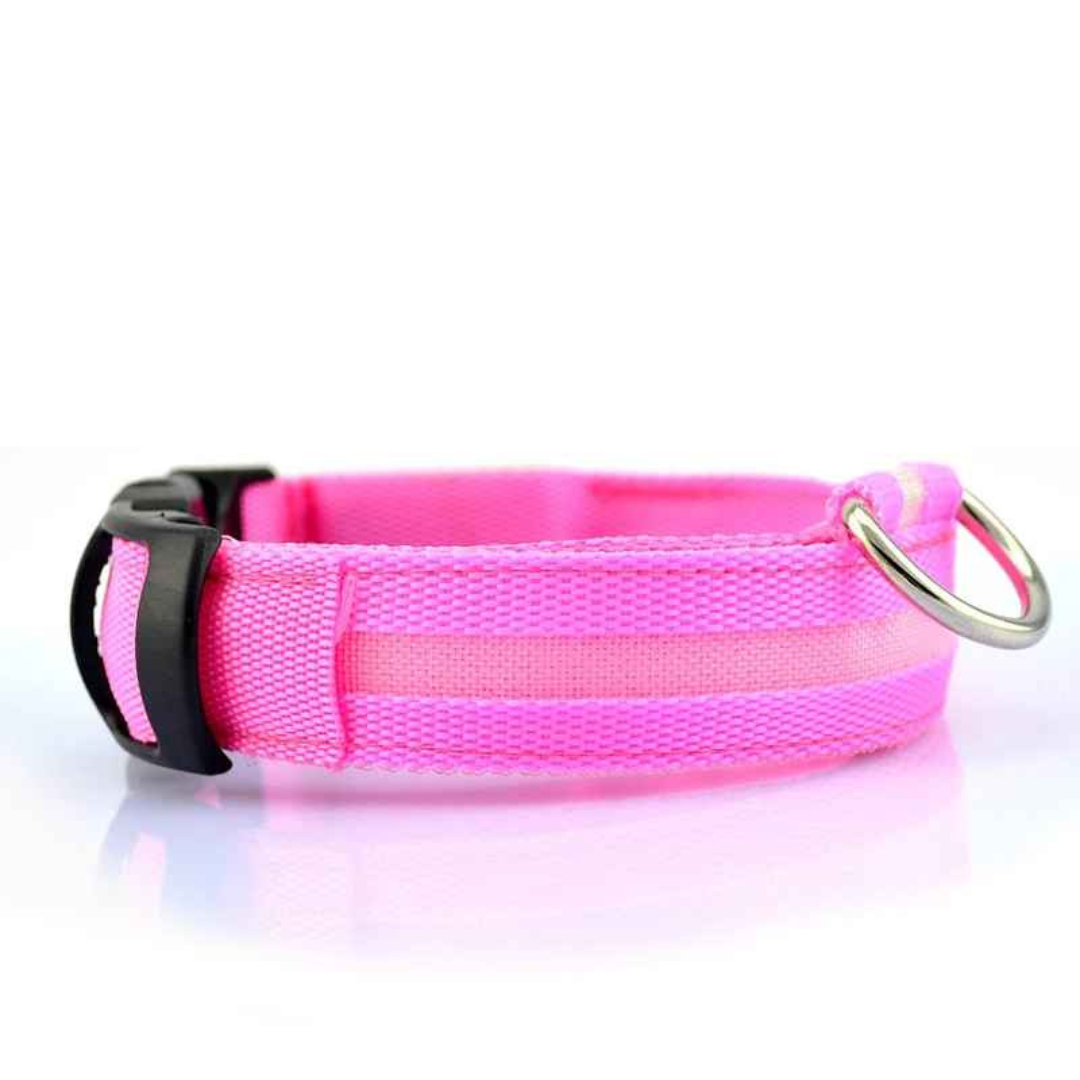 Collier pour chien LED rechargeable (via USB)
