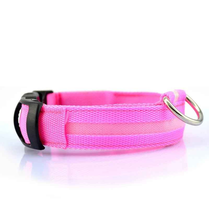 Collier pour chien LED rechargeable (via USB)