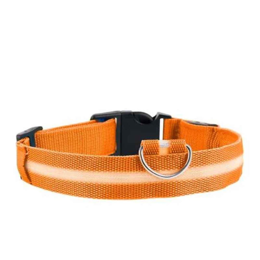 Collier pour chien LED rechargeable (via USB)
