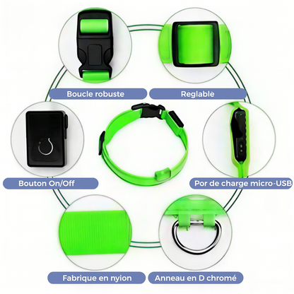 Collier pour chien LED rechargeable (via USB)