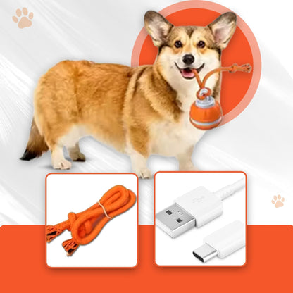 Balle interactive pour chien - Balle de jeu en caoutchouc et distributeur de friandises contre l'ennui
