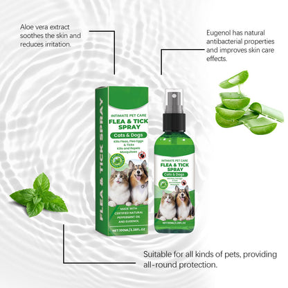 Spray de protection naturel contre les puces et les tiques 🐱🐶
