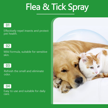 Spray de protection naturel contre les puces et les tiques 🐱🐶