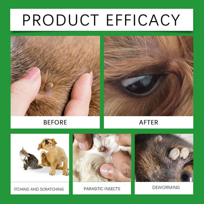 Spray de protection naturel contre les puces et les tiques 🐱🐶