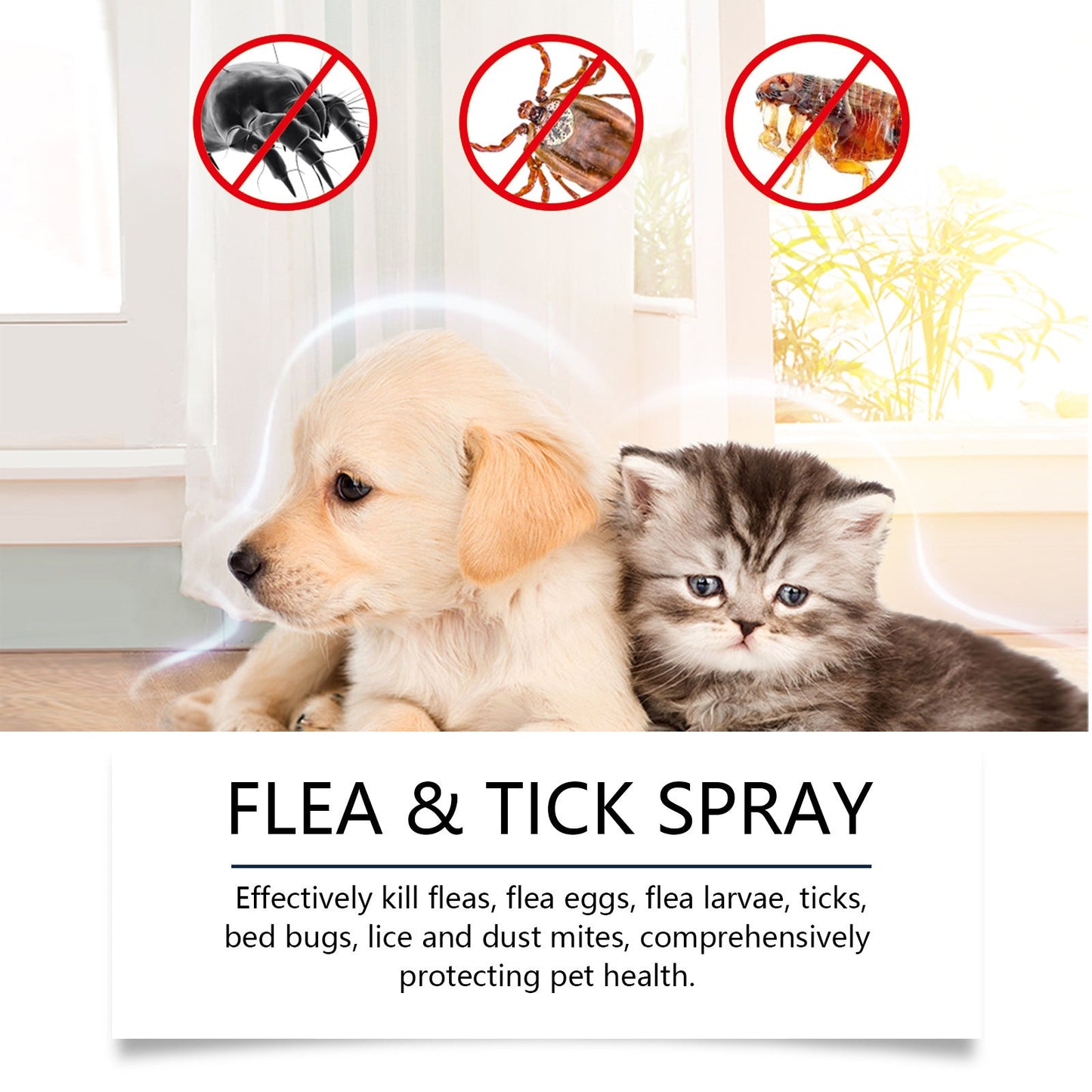 Spray de protection naturel contre les puces et les tiques 🐱🐶