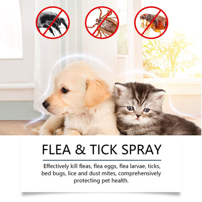 Spray de protection naturel contre les puces et les tiques 🐱🐶