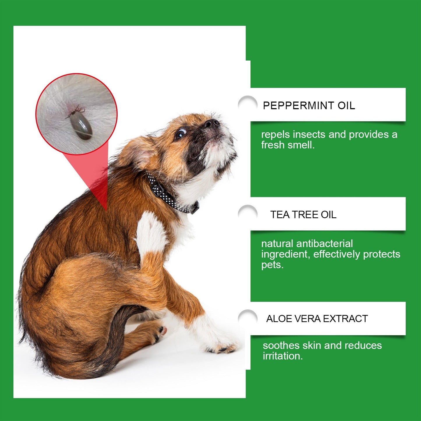 Spray de protection naturel contre les puces et les tiques 🐱🐶