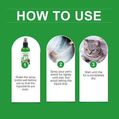Spray de protection naturel contre les puces et les tiques 🐱🐶