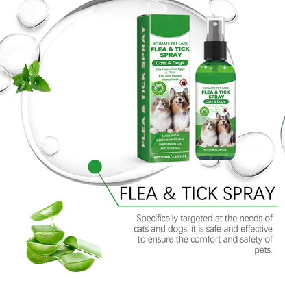 Spray de protection naturel contre les puces et les tiques 🐱🐶
