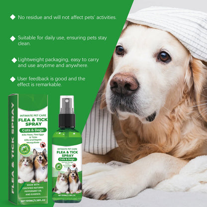 Spray de protection naturel contre les puces et les tiques 🐱🐶