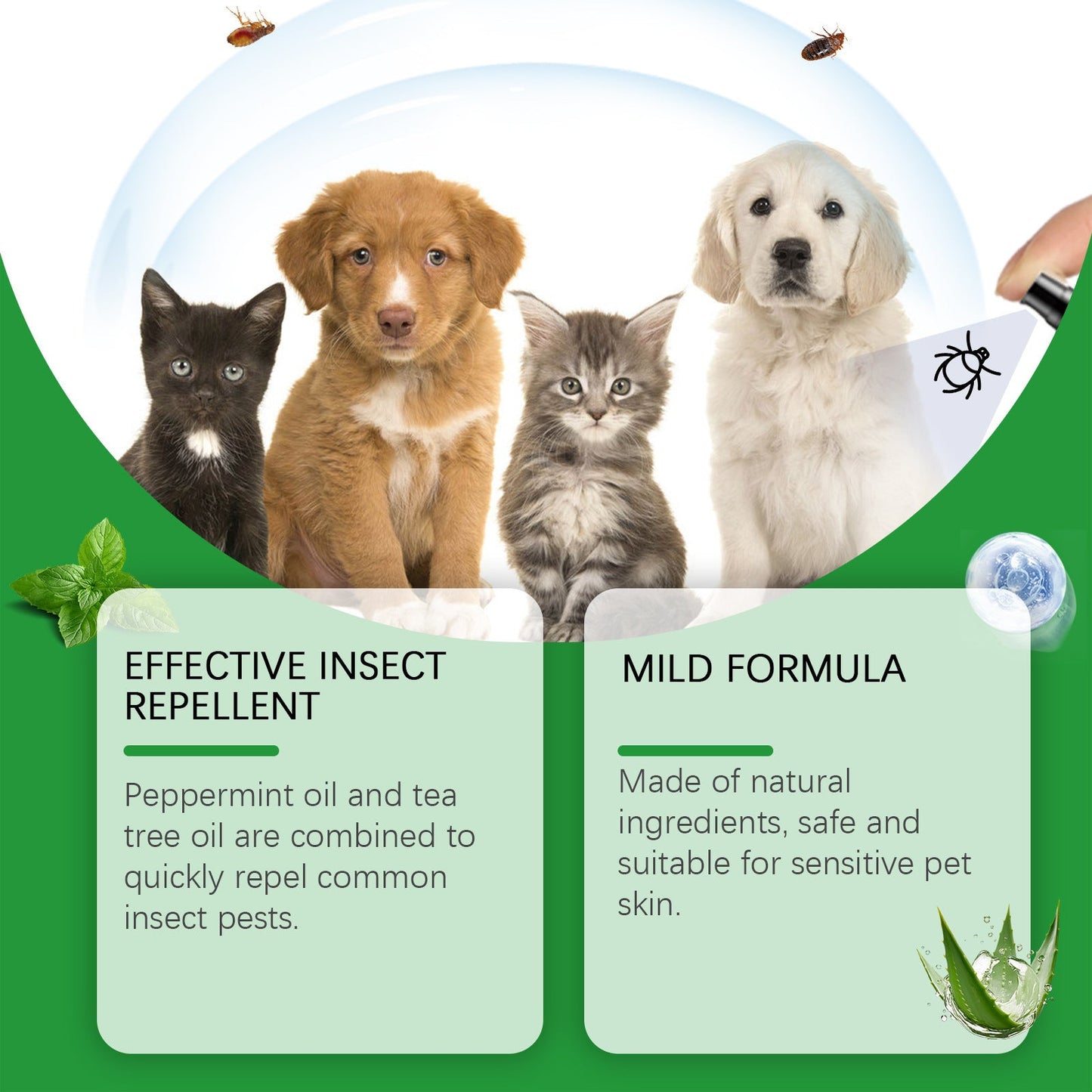 Spray de protection naturel contre les puces et les tiques 🐱🐶