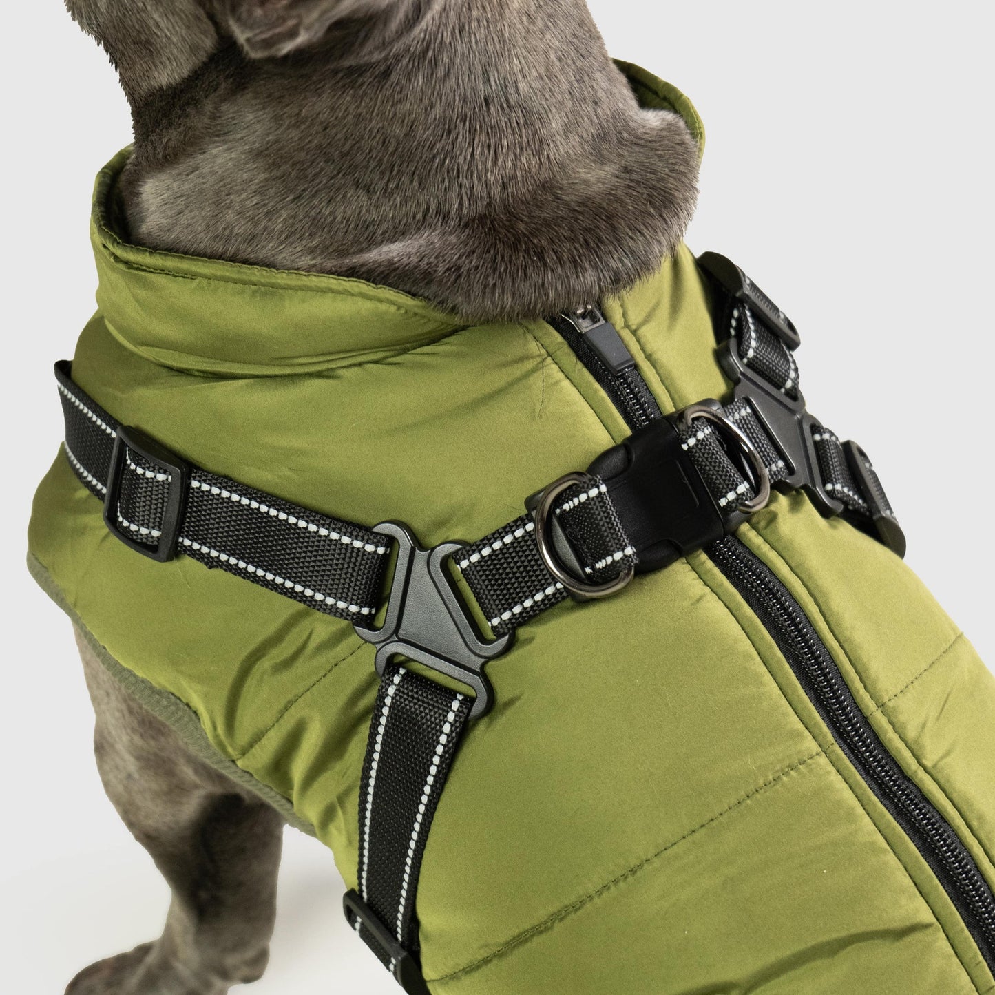 DoggyKings™ Manteau pour Chien avec Harnais Intégré - Imperméable et Chaud (Design 3-en-1)