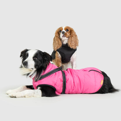 DoggyKings™ Manteau pour Chien avec Harnais Intégré - Imperméable et Chaud (Design 3-en-1)
