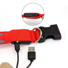 Collier pour chien LED rechargeable (via USB)