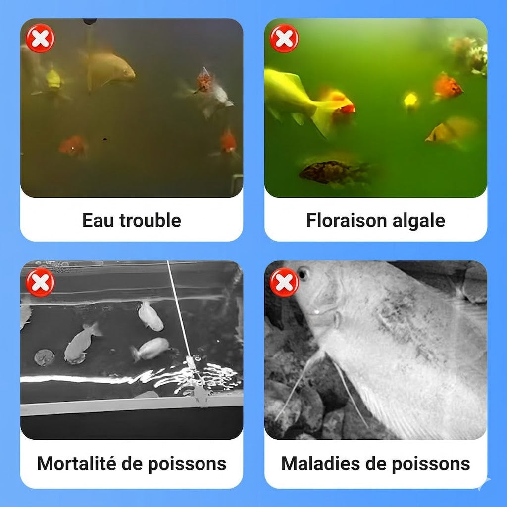 Clarificateur d'eau puissant pour aquarium - 100ml - Contre l'eau trouble