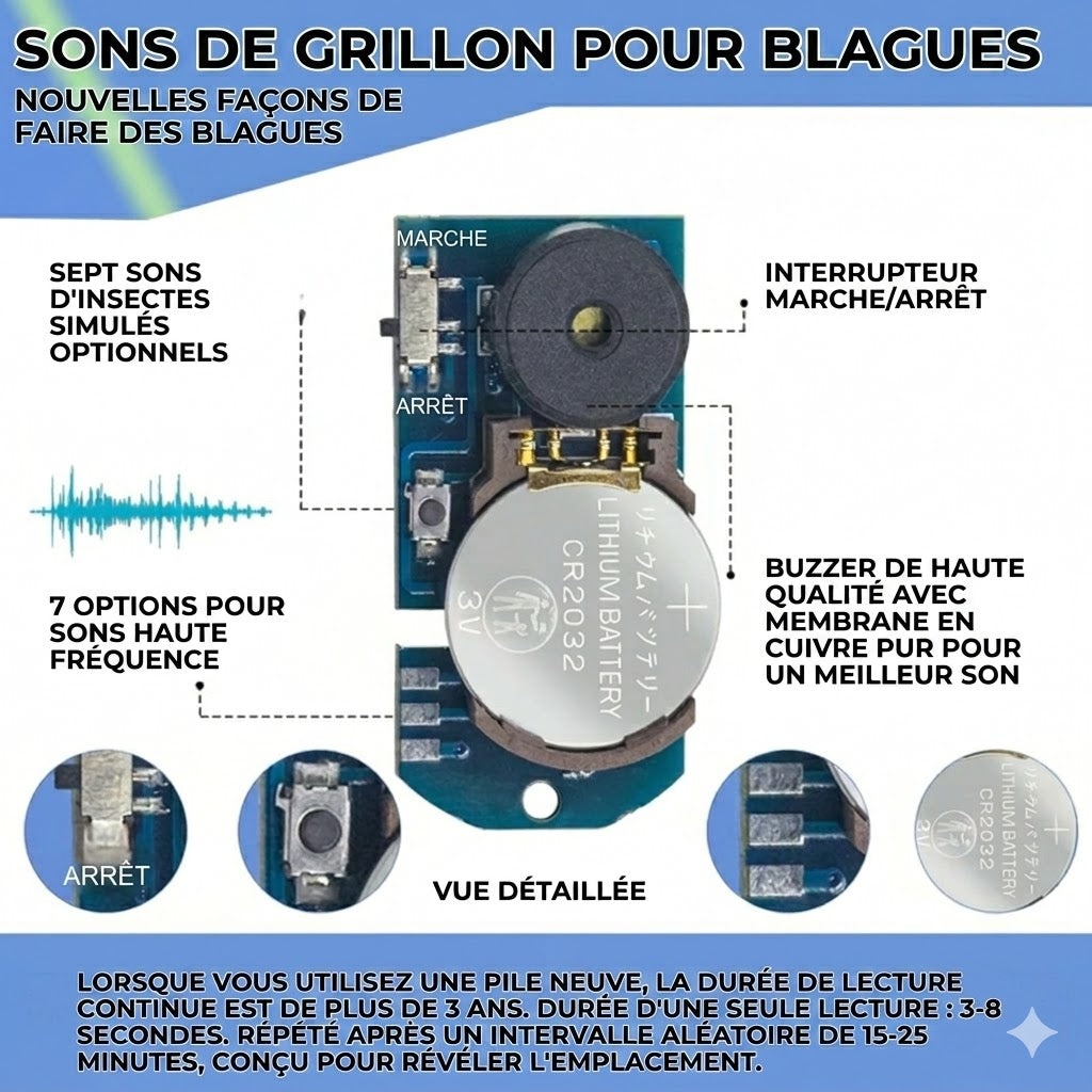 Grillon invisible : L'ultime farce sonore