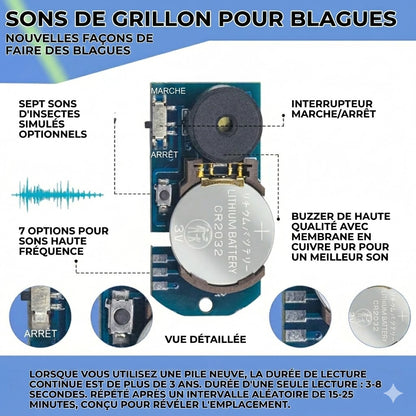 Grillon invisible : L'ultime farce sonore
