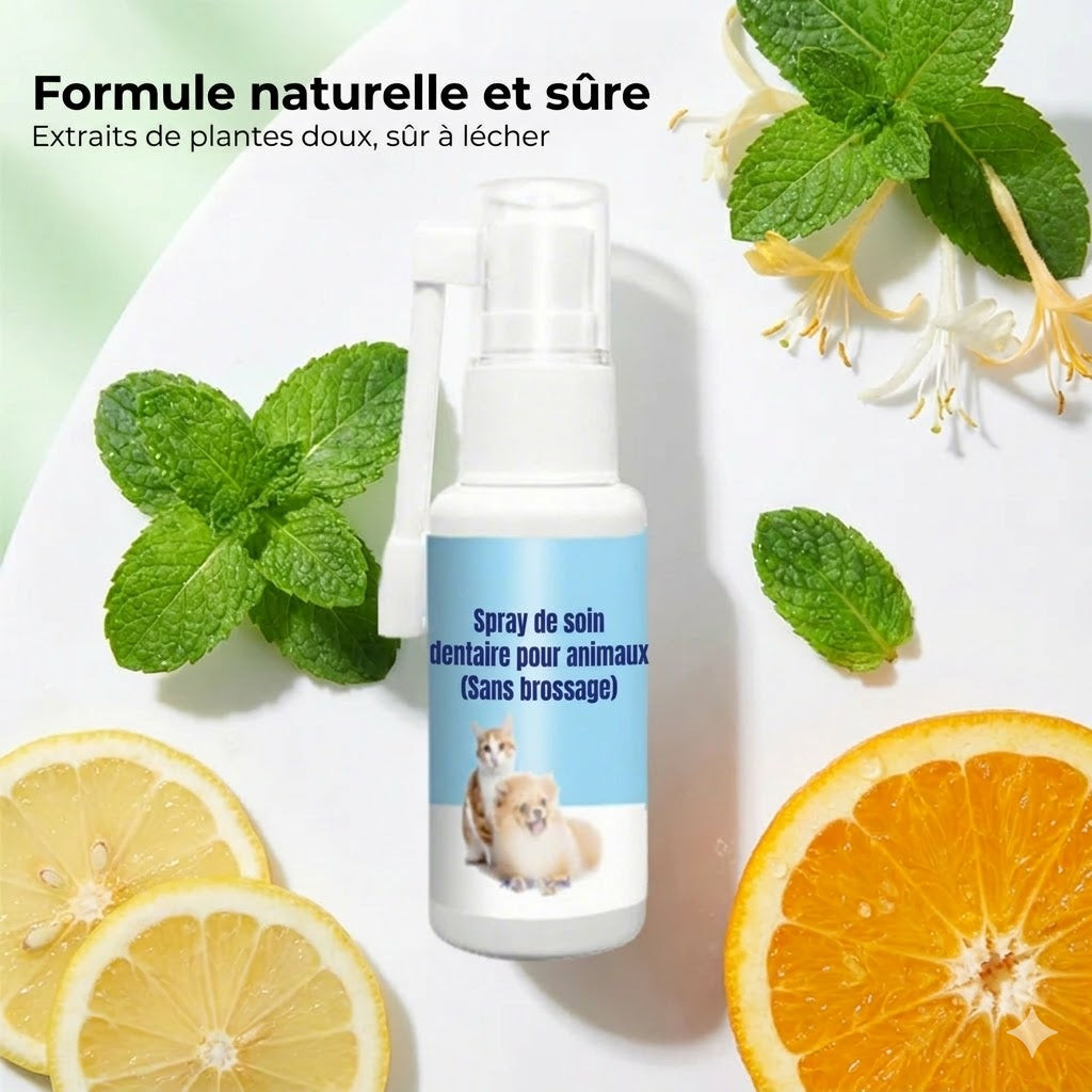 Spray de soin dentaire pour animaux