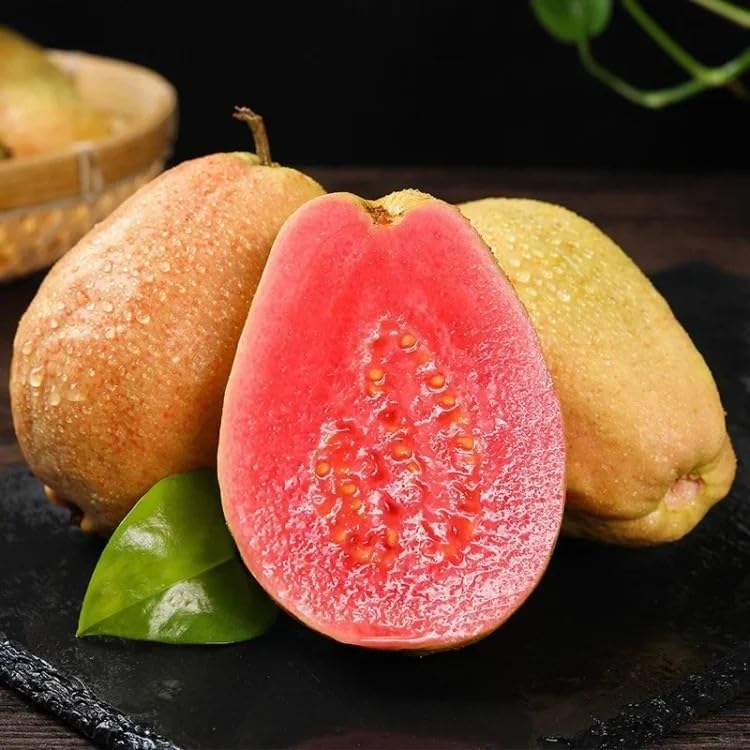 Graines de Goyave Rose Biologiques - 60 Pièces