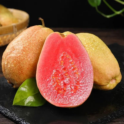 Graines de Goyave Rose Biologiques - 60 Pièces