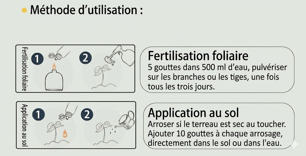 Solution nutritive pour plantes