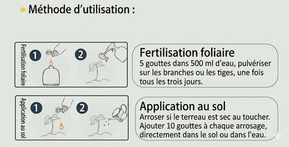 Solution nutritive pour plantes
