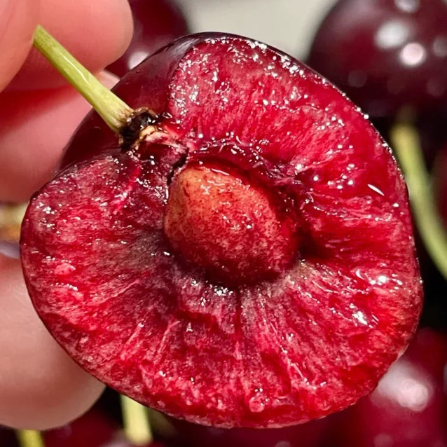 Graines de cerisier doux (50 pièces - Sans OGM)🌿(peuvent être plantées en hiver)