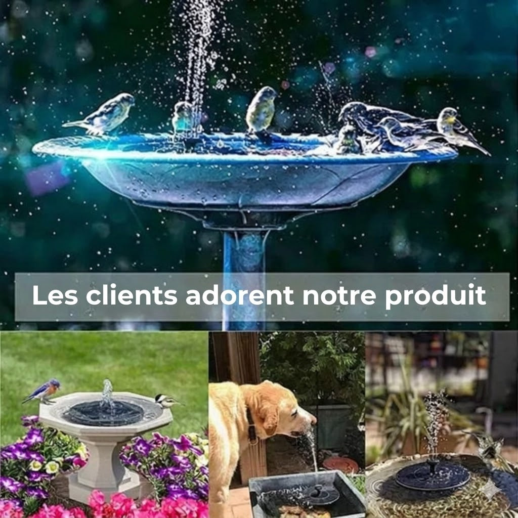 Fontaine automatique à énergie solaire
